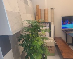 미목인테리어